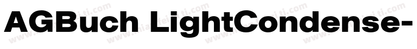 AGBuch LightCondense字体转换